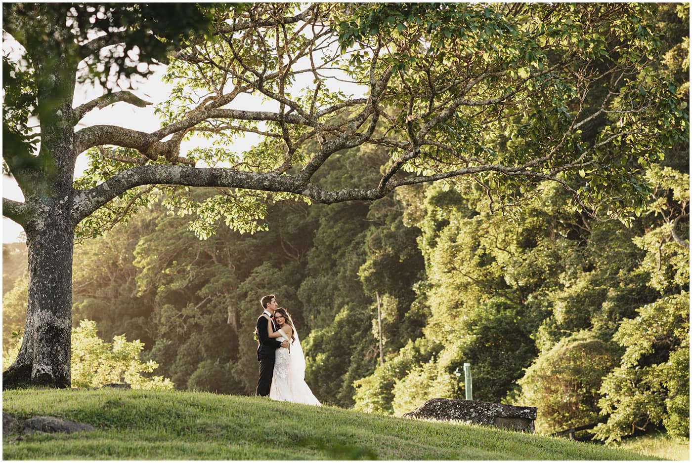 Wedding at The Old Dairy Maleny_0062